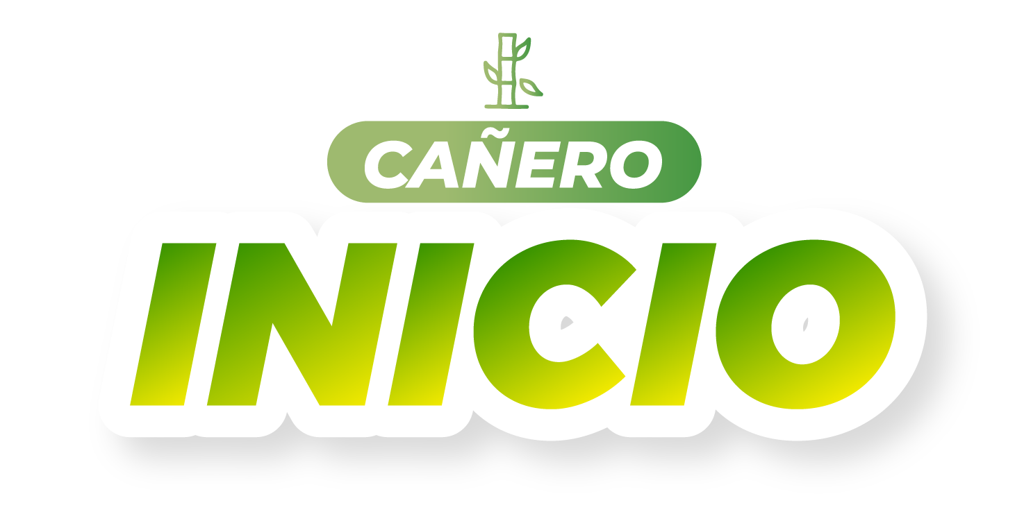 Inicio